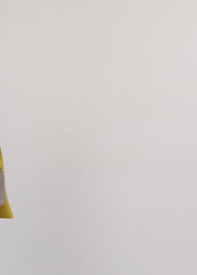 עליונית עם צעיף ווש חרדל