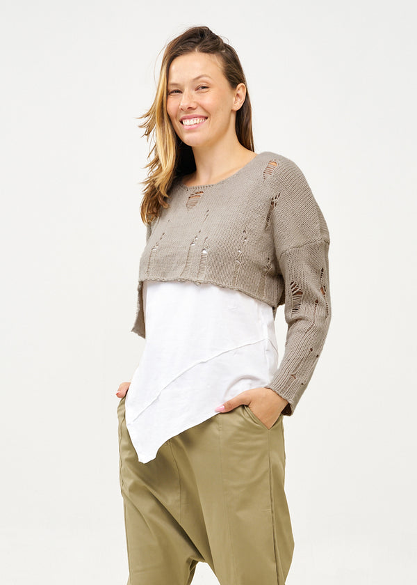 סריג סיומת אסימטרית עם פרימות אפור