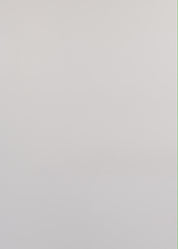 חולצה שרוול ארוך שני שפיצים וכפתרה לבן